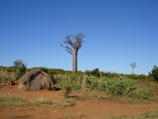 ../Images/Madagaskar, 25.05.-10.06.07, Foto (440).JPG